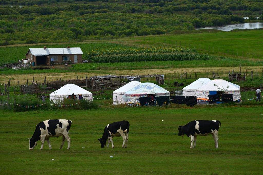 海拉尔秋季摄影，呼伦贝尔旅游怎么样  呼伦贝尔秋季游  呼伦贝尔草原户外游哪