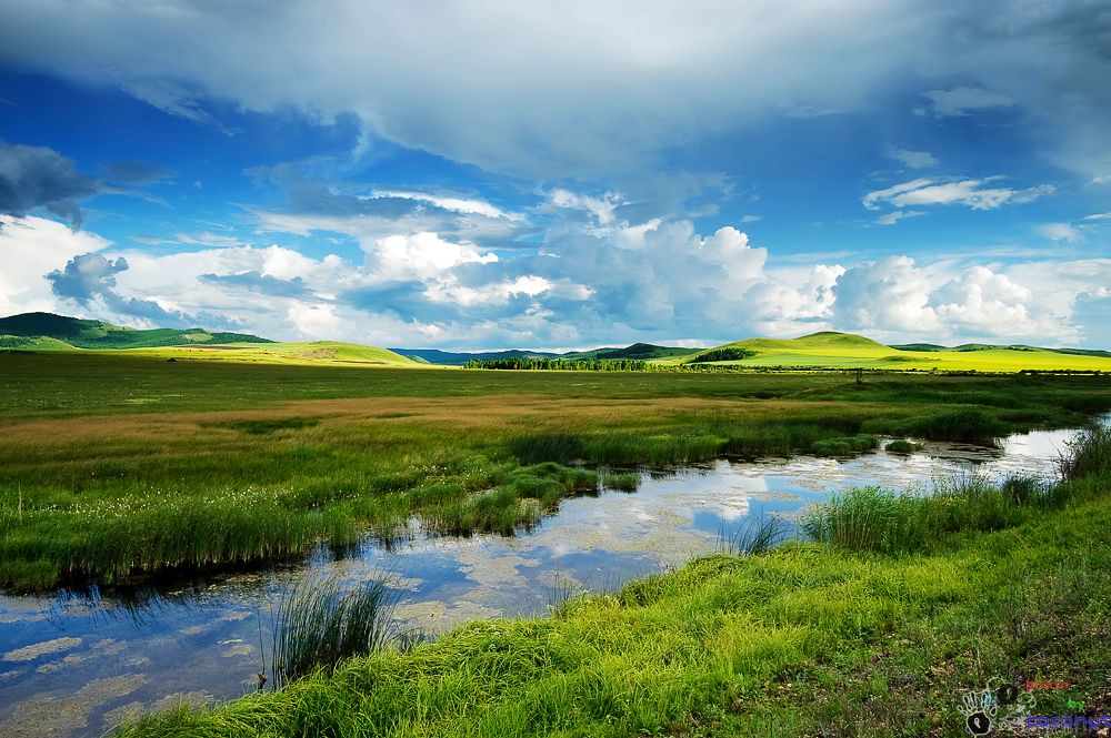 呼伦贝尔突出的呼伦贝尔旅游服务报价——满  呼伦贝尔秋季游  呼伦贝尔草原户外游哪