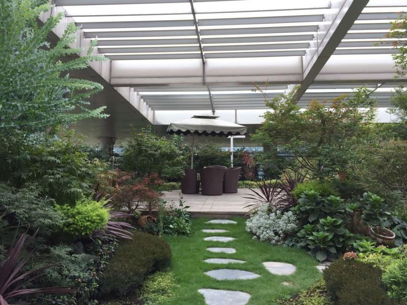 屋顶花园设计打造种植养护-成都尚鼎丰服务优  屋顶花园种植养护