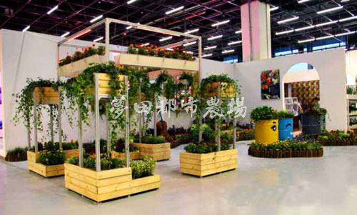 成都酒店农场设计施工-种菜设备批发找尚鼎丰值得信赖  成都酒店农场施工  成都种菜设备批发