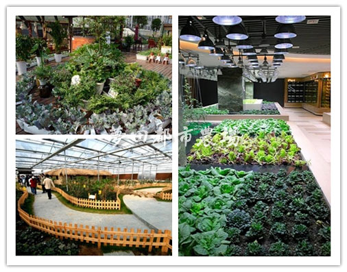 成都酒店农场设计施工-种菜设备批发找尚鼎丰值得信赖  成都酒店农场施工  成都种菜设备批发