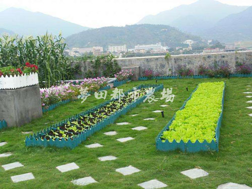 成都酒店农场设计施工-种菜设备批发找尚鼎丰值得信赖  成都酒店农场施工  成都种菜设备批发