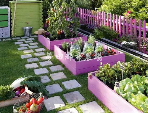 四川成都一米菜园设计打造-和孩子一起打造家庭农场  成都家庭菜园种菜  成都家庭农场设计打造