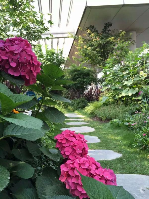 成都屋顶花园设计施工-尚鼎丰公司团队为您精心打造  成都屋顶花园施工