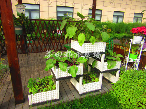 四川成都商业农场设计施工找尚鼎丰梦田都市农场专业  成都商业农场施工