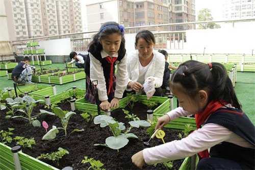 四川成都学校生态农场设计施工-学校屋顶菜园设备批发  成都学校农场设计  成都学校农场施工