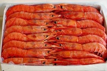 重庆波士顿龙虾进口报关 海鲜进口清关
