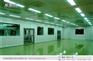 室内净化灯厂家|医院室内净化灯|亮美聚，