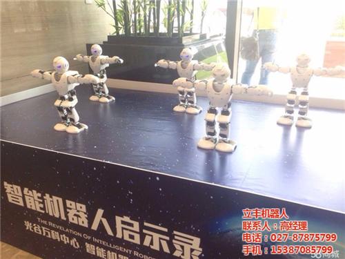 售楼部暖场机器人、服务机器人、武汉机器人  酒店服务机器人  迎宾服务机器人