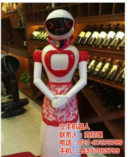 商场服务机器人|服务机器人|武汉酒店服务  暖场服务机器人  促销服务机器人