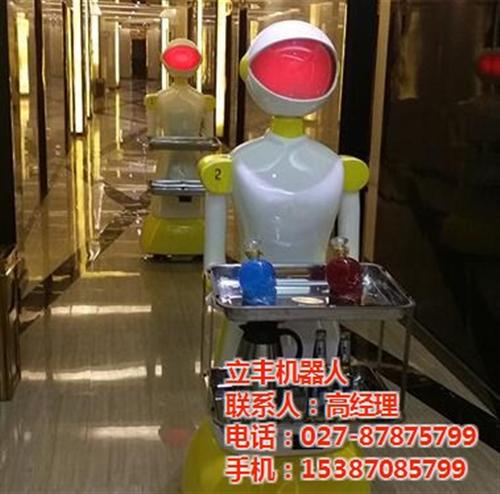 暖场服务机器人,服务机器人,武汉酒店机器 餐厅服务机器人 促销服务机器人