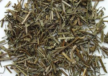 薄荷提取物
