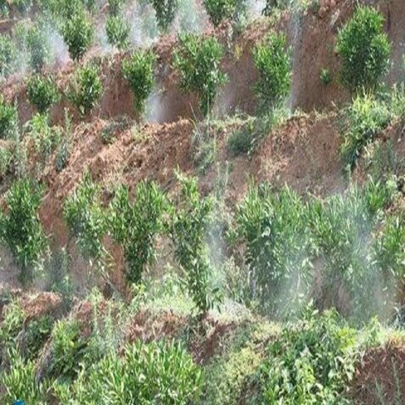 食用菌微喷生产厂家_微喷生产厂家_地插微&nbsp;&nbsp;地插微喷喷头&nbsp;&nbsp;山东大棚微喷采购