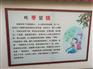 陕西大荔冬枣基地