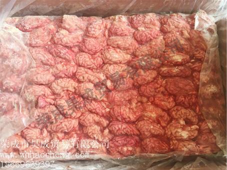混冻成板猪脑：买成型单摆猪脑就来荣成昊成  成型单摆进口猪脑