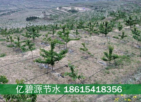 朝阳山地果树滴灌批发厂家  朝阳果树滴灌