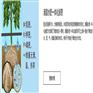 哈密瓜水肥一体化设备_海南水肥一体化设备