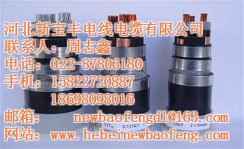 昆明超高压电缆、河北新宝丰电缆有限公司、 超高压电缆公司 超高压电缆价格 超高压电缆品牌
