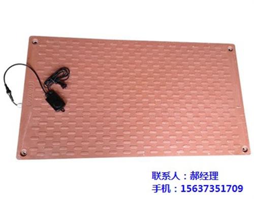 小猪电热板、电热板、恒泰农牧设备(图)  复合电热板  猪产床电热板