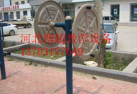 标准双人大转轮生产厂家  标准双人大转轮厂家