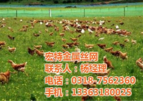 PVC荷兰网厂、荷兰网、宏特金属丝网(查&nbsp;&nbsp;涂塑荷兰网厂&nbsp;&nbsp;养殖荷兰网厂家&nbsp;&nbsp;圈地荷兰网厂家