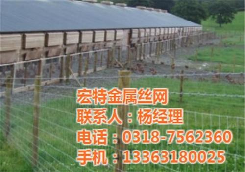 荷兰网_现货批发荷兰网_养殖荷兰网价格&nbsp;&nbsp;圈地荷兰网价格&nbsp;&nbsp;圈鸡荷兰网价格&nbsp;&nbsp;批发荷兰网价格