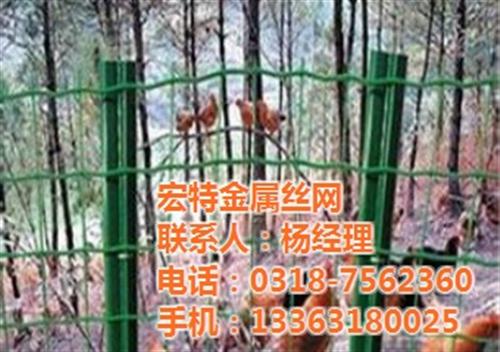 荷兰网|生产荷兰网厂家|圈地荷兰网&nbsp;&nbsp;优质荷兰网&nbsp;&nbsp;浸塑荷兰网