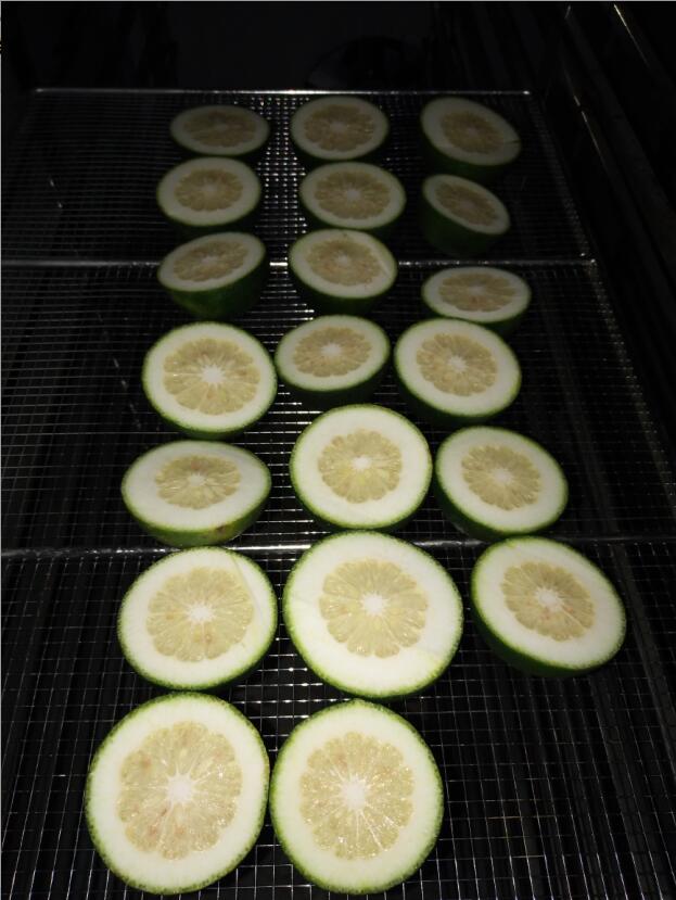 枳壳烘干机 热泵枳壳烘干设备 厂家定做枳壳烘干机 热泵烘干机
