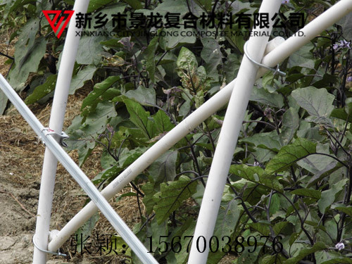 景龙新型无支柱大棚骨架 温室新材料  拉挤型材  无支柱大鹏骨架  保温棚骨架
