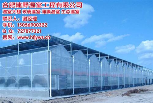 玻璃温室大棚厂家、安徽玻璃温室大棚、合肥  玻璃温室大棚造价