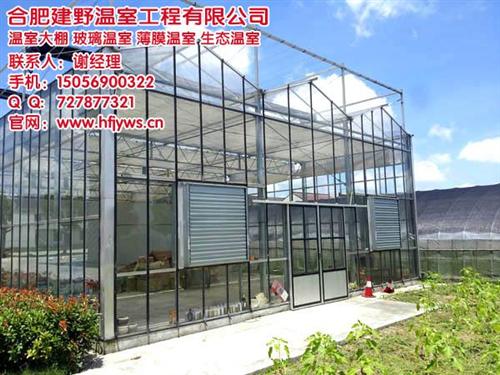 安徽玻璃温室大棚、合肥建野温室大棚厂家、 玻璃温室大棚厂 玻璃温室大棚建造 玻璃温室大棚价格