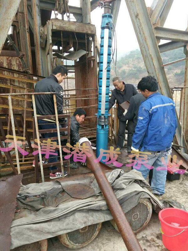 高品质卧式、斜式、雪橇式深井泵-天津潜成泵业&nbsp;&nbsp;卧式深井泵&nbsp;&nbsp;斜式深井泵