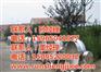 燃气煮肉锅厂家电话_太原市燃气煮肉锅_诸
