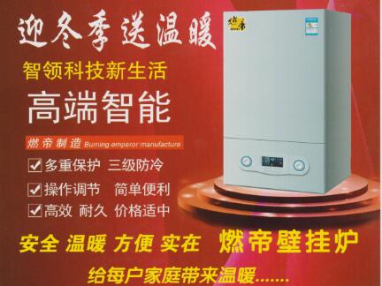 河北德威燃气壁挂炉