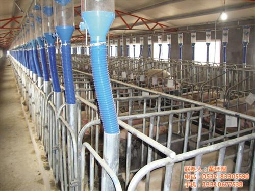 养猪设备项目、养猪设备、青驰源(图)&nbsp;&nbsp;养猪 设备&nbsp;&nbsp;养猪设备价格