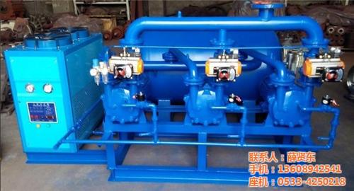 2bv2061真空泵|真空泵|东宇真空设  1.1kw真空泵  泵真空泵