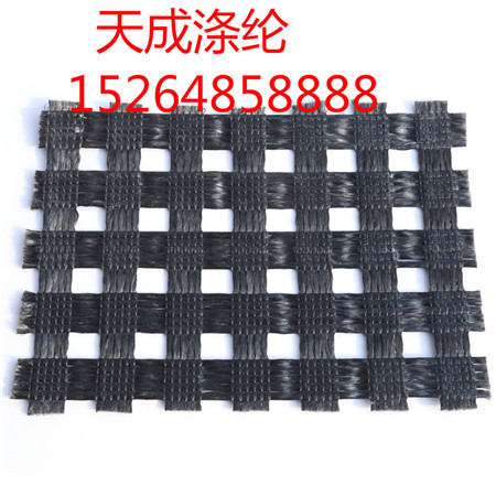 内蒙古乌海聚酯经编涤纶土工格栅 永远真诚服务&nbsp;&nbsp;涤纶格栅价格&nbsp;&nbsp;涤纶格栅厂家&nbsp;&nbsp;涤纶格栅售价