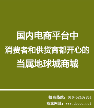 北京地球城电子商务有限公司