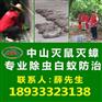 中山工厂灭鼠公司 中山灭鼠方法 家庭灭鼠