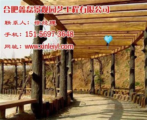 园林绿化养护价格|巢湖园林绿化|合肥鑫磊&nbsp;&nbsp;园林绿化管理&nbsp;&nbsp;园林绿化有限公司