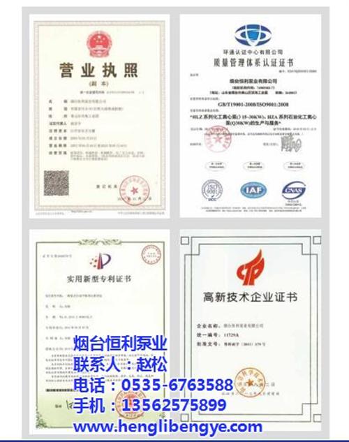 龙口耐腐蚀泵|恒利泵业|耐腐蚀泵厂家  耐腐蚀泵品牌  耐腐蚀泵改造