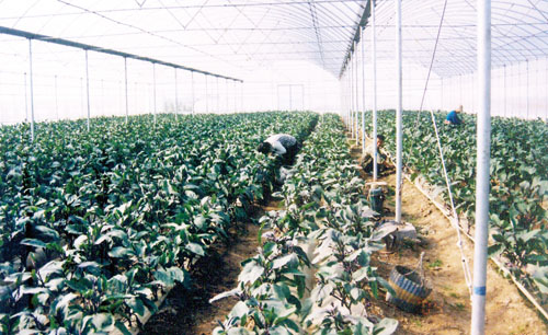丰南区专业做新建汽车站项目节能评估报告
