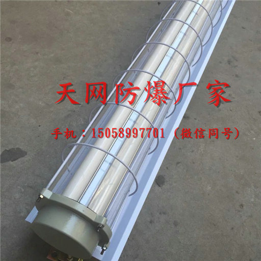 防爆双管荧光灯 防爆双管荧光灯