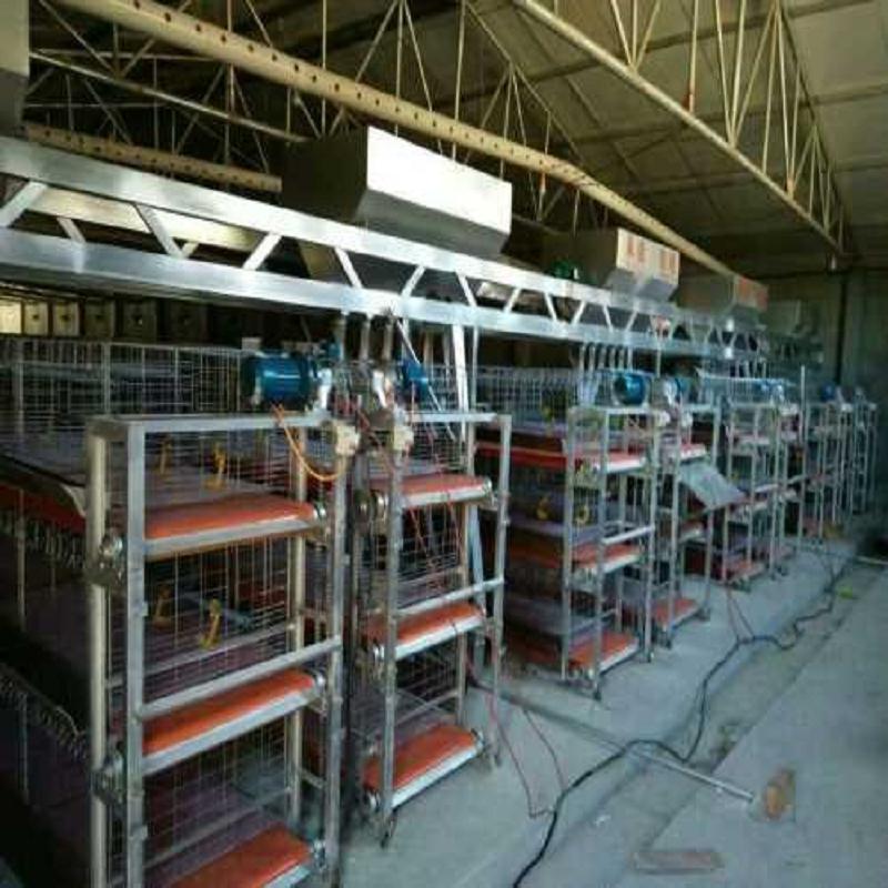 优质鸡笼批发采购-自动化鸡笼-新型鸡笼零&nbsp;&nbsp;全自动鸡笼厂&nbsp;&nbsp;鸡笼子厂家&nbsp;&nbsp;蛋鸡笼养殖设备最
