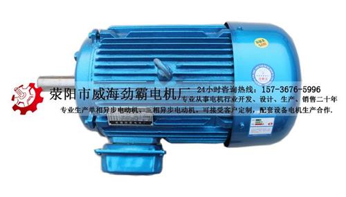 三相异步电机价格_电机_电机厂家(图)  三相电机保护器  三相四级电机