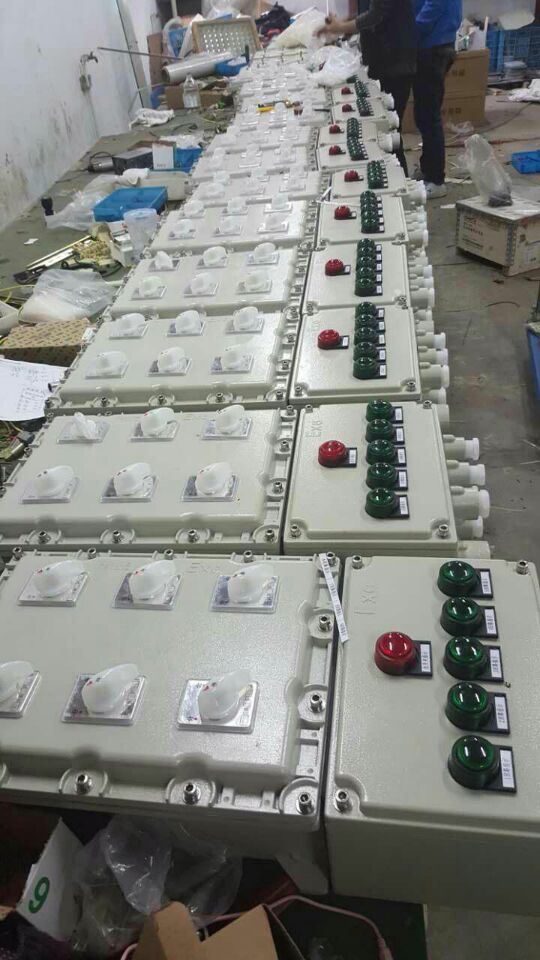 湖北，淮南BXD-8030-6XX防爆动力配电箱  防爆配电箱