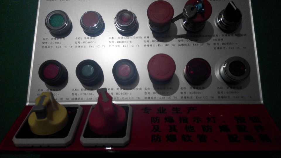 BA8050防爆按钮