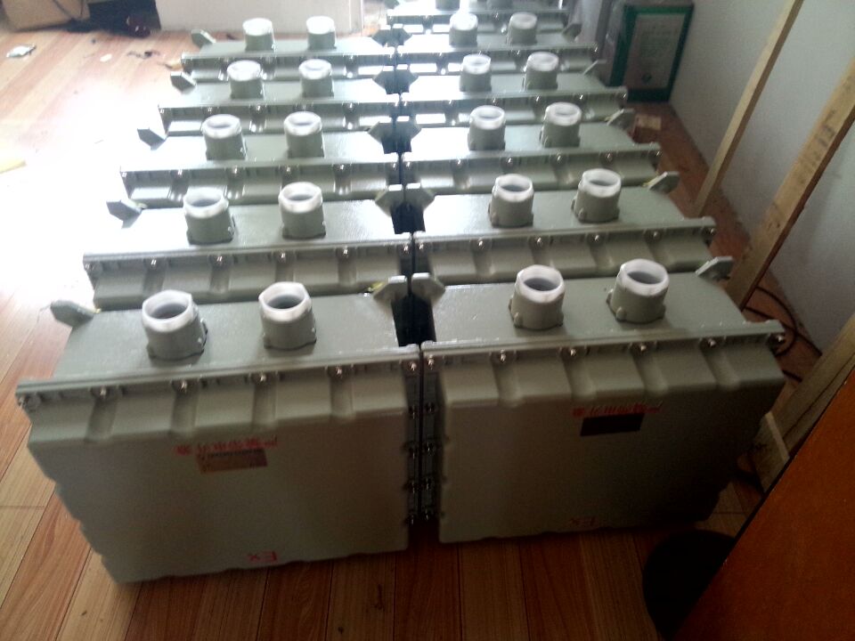 淮南FZC-G-A2D2K1B1LH户外防强腐黑色机旁操作箱  防爆操作箱