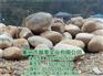 鹅卵石、磊泰实业——优质石材、鹅卵石批发
