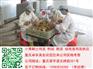 重庆黑鸡苗价格　重庆柴鸡最近市场行情